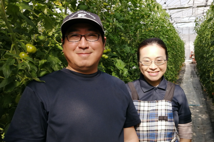 親バカトマト助川農園Yahoo!店