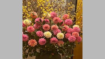 福島園芸