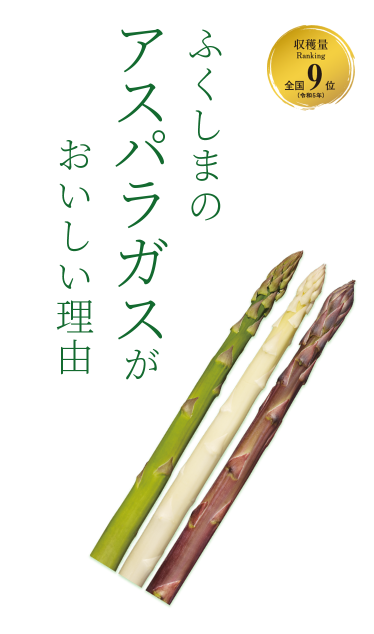 KV
