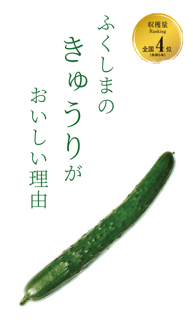 KV