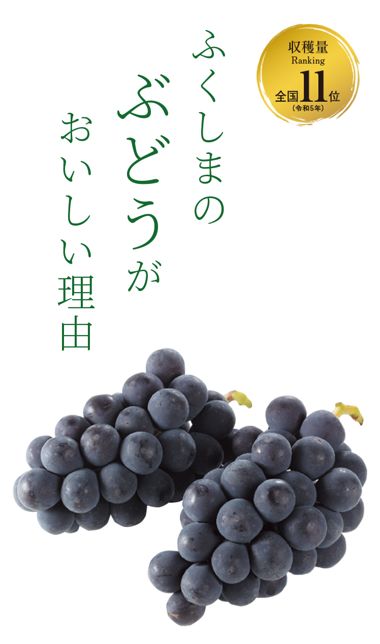 KV