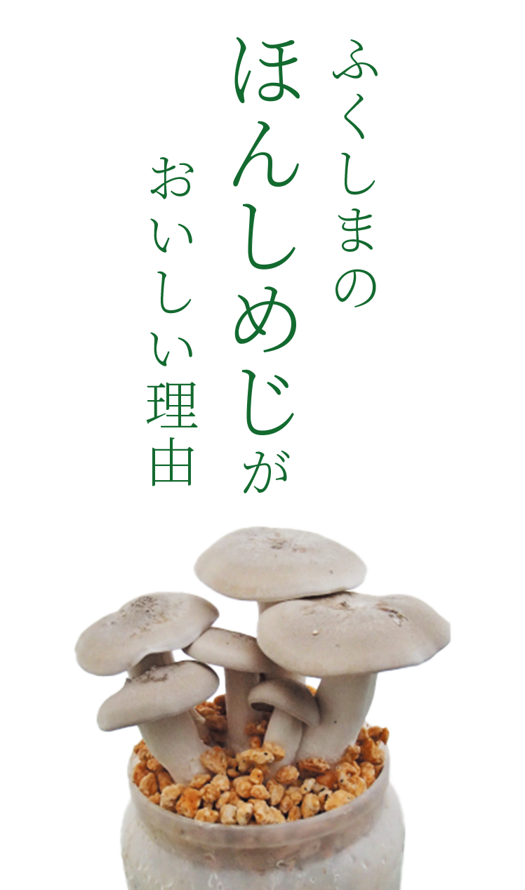 KV