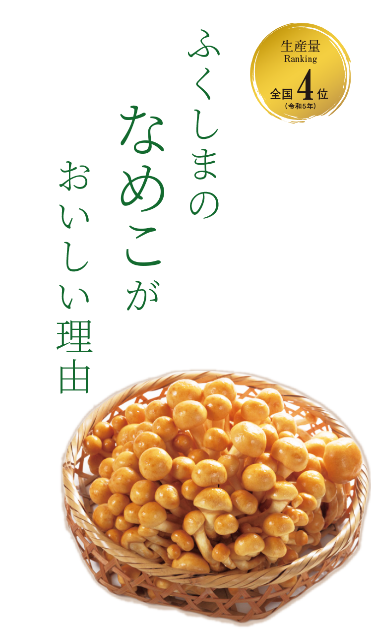 KV