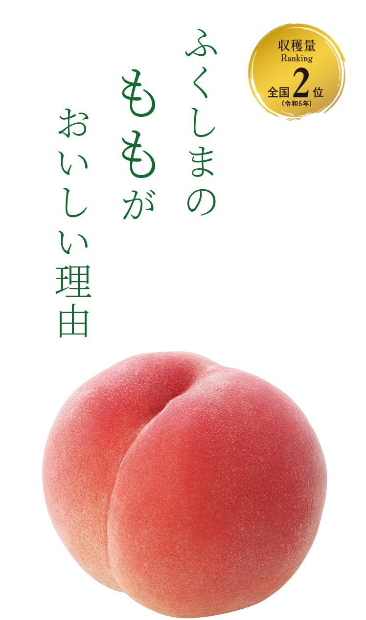KV