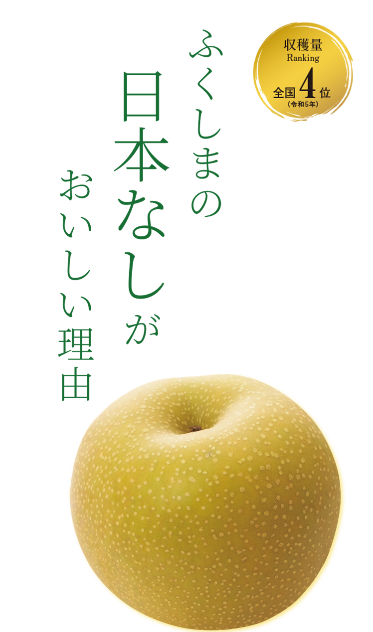 KV