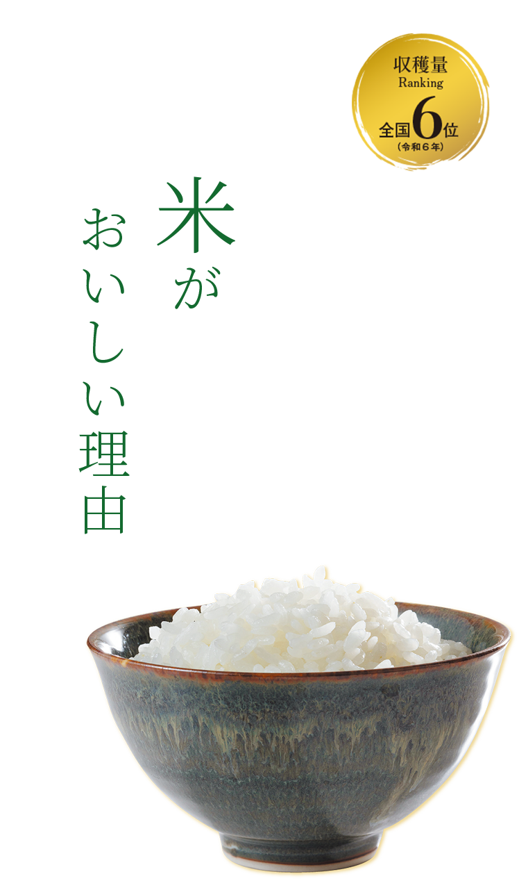 KV