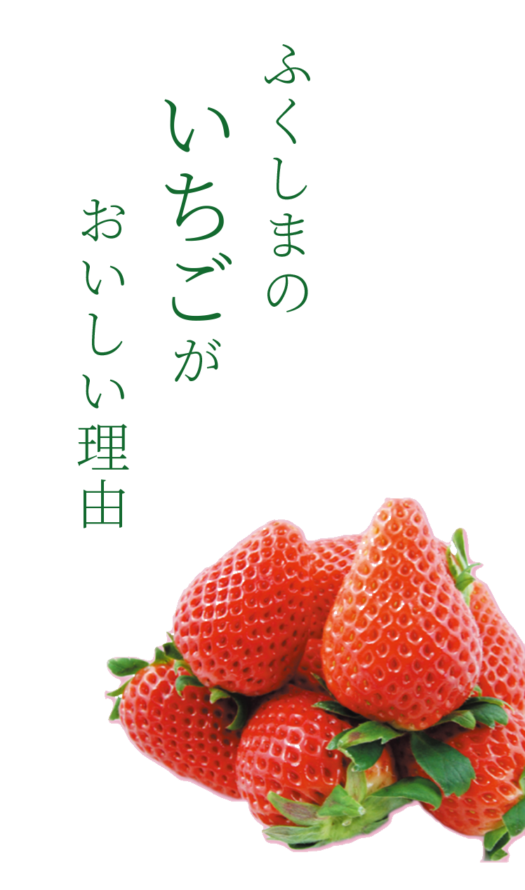 KV