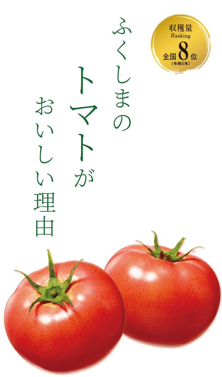 KV
