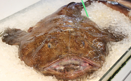 親子船で獲る、ブランド化も視野に入れた高級魚