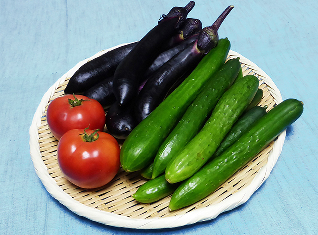 福島の生産者である誇りが作る夏秋野菜