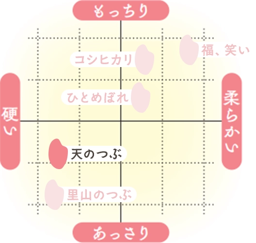 天のつぶの食味チャート