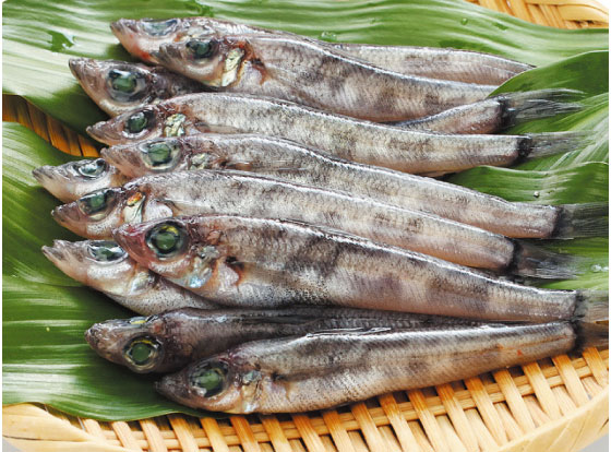 メヒカリ